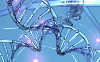 Гены и злодейство